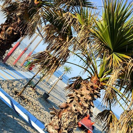 Hotel Villa Cesira Bellaria-Igea Marina Esterno foto